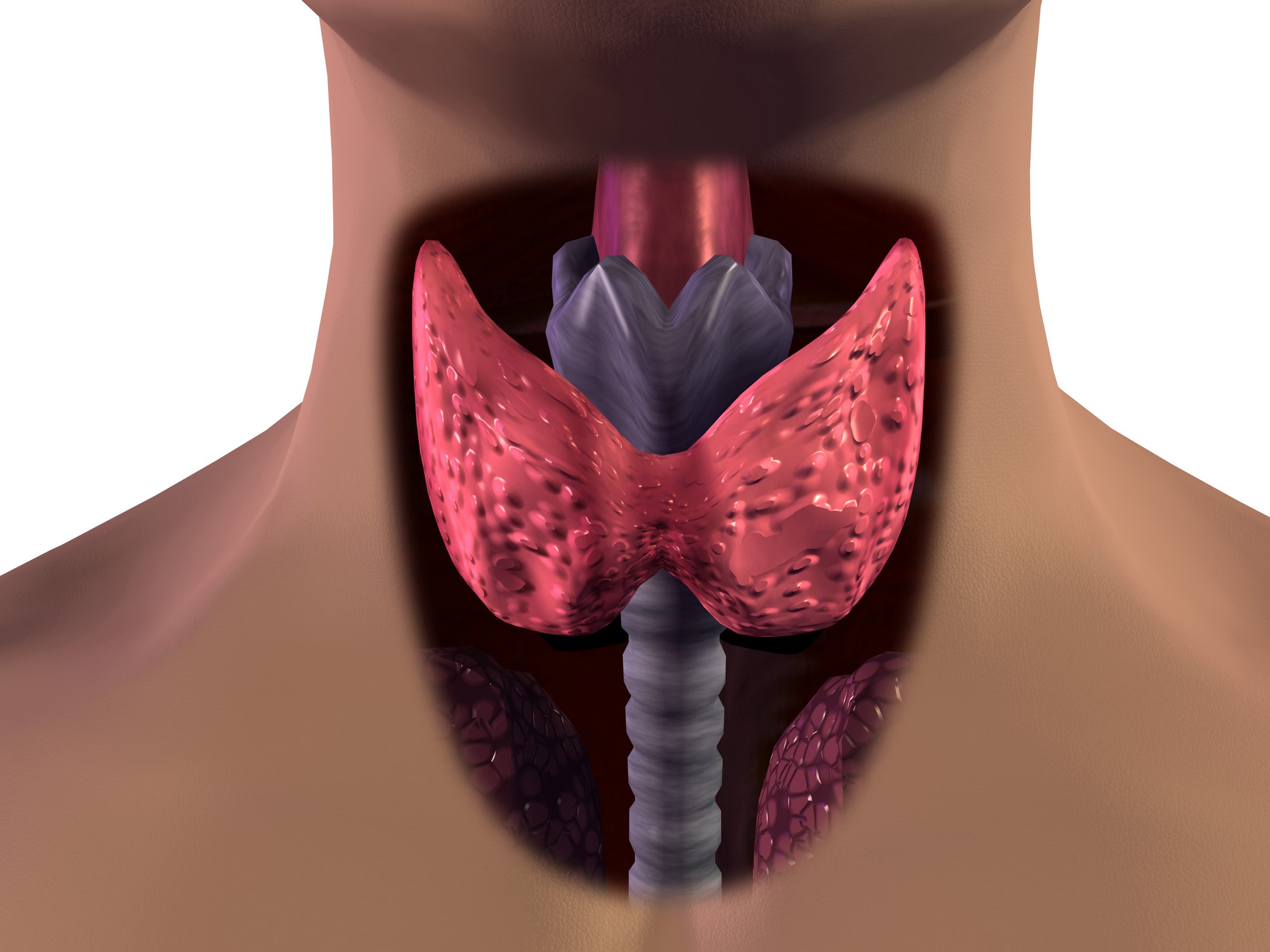 Анализ крови гормонов щитовидной железы